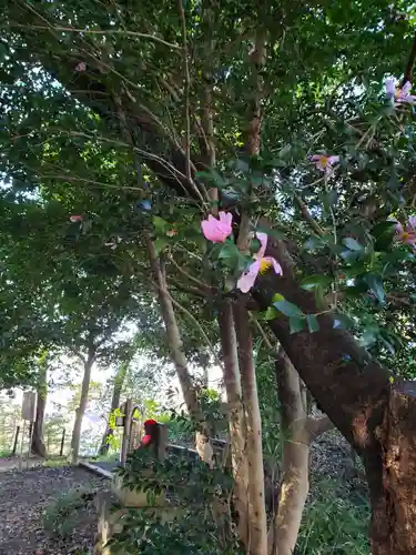 高幡不動尊　金剛寺の地蔵