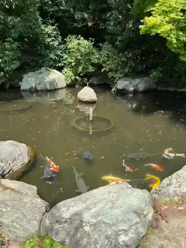 熊野大社(島根県)