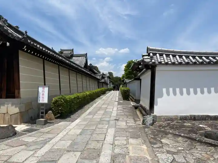 妙心寺(妙心禅寺)(京都府)
