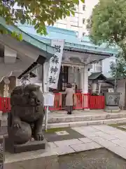 椙森神社の狛犬