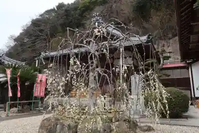 吉祥寺(愛知県)