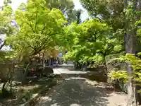 勝林寺(埼玉県)