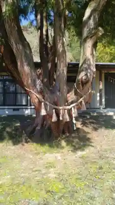 香取神社(宮城県)