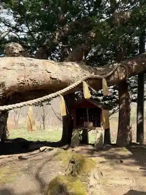 橡木山白木神社の{uncategorized: "未分類", other: "その他", undefined: "問題あり", building: "その他建物", grave: "お墓", sacred_gate: "鳥居", guardian: "狛犬", statue: "像", buddha: "仏像", history: "歴史", nature: "自然", garden: "庭園", animal: "動物", pagoda: "塔", temizu: "手水舎", mountain_gate: "山門・神門", sanctuary: "本殿・本堂", subordinate: "末社・摂社", art: "芸術", scenery: "景色", jizo: "地蔵", ema: "絵馬", goshuin: "御朱印", omikuji: "おみくじ", items: "授与品その他", amulet: "お守り", goshuincho: "御朱印帳", eats: "食事", festival: "お祭り", votive_dance: "神楽", shichigosan: "七五三参", wedding: "結婚式", experience: "体験その他", initially: "初詣", around: "周辺", anti_infection: "感染症対策"}
