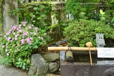 江島神社(神奈川県)