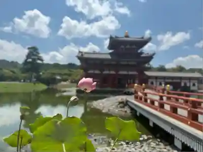 平等院(京都府)