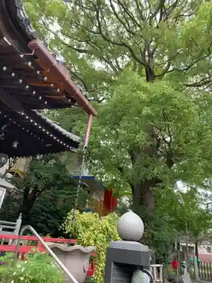 真福寺のその他建物