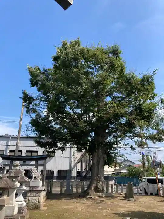 甲神社(茨城県)