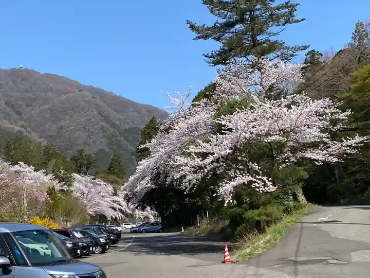 彌彦神社(新潟県)