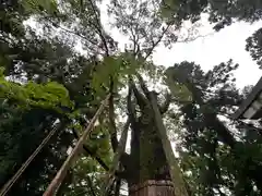 白山比咩神社(石川県)