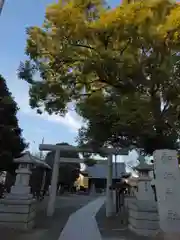 新城神社(神奈川県)