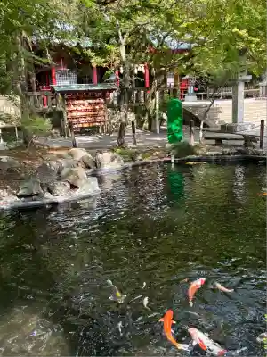 伊豆山神社(静岡県)