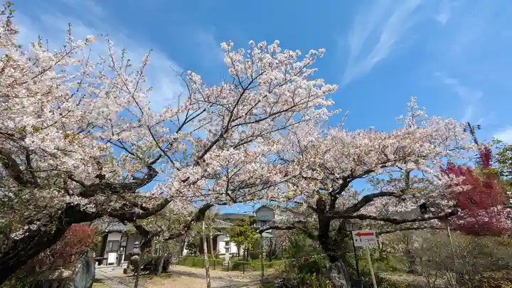 橋寺 放生院(京都府)