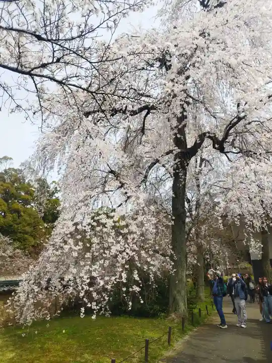 宝聚院(京都府)
