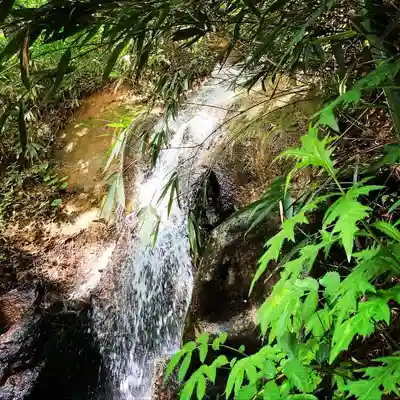 戸隠神社奥社(長野県)