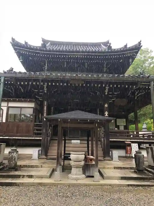 今熊野観音寺の本殿・本堂