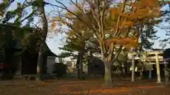 春日神社の建物その他