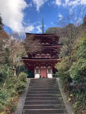 浄瑠璃寺(京都府)