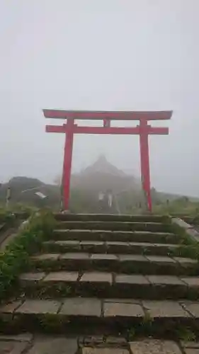 箱根元宮の鳥居