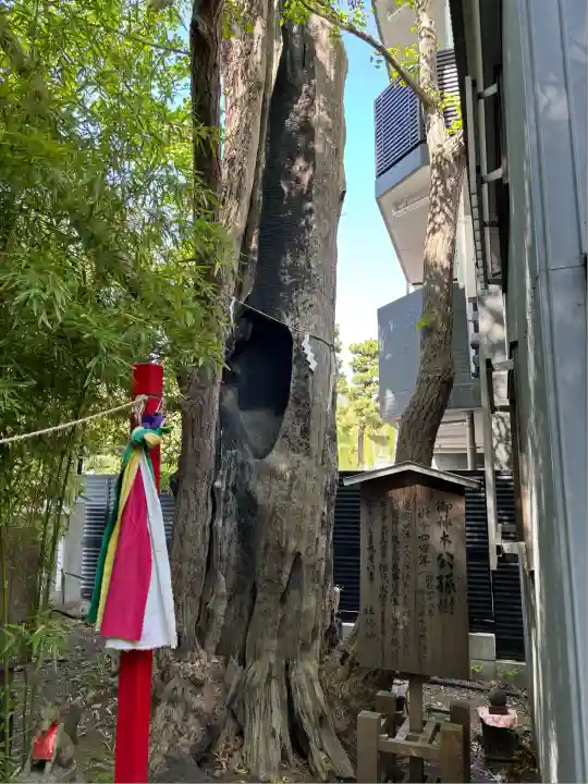 東神奈川熊野神社(神奈川県)