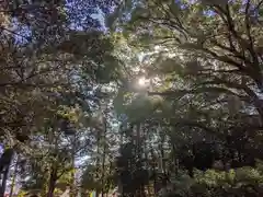 伊多波刀神社の自然