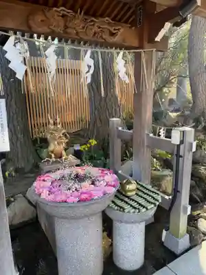 白山神社(新潟県)