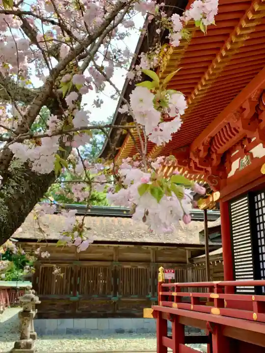志波彦神社・鹽竈神社の{uncategorized: "未分類", other: "その他", undefined: "問題あり", building: "その他建物", grave: "お墓", sacred_gate: "鳥居", guardian: "狛犬", statue: "像", buddha: "仏像", history: "歴史", nature: "自然", garden: "庭園", animal: "動物", pagoda: "塔", temizu: "手水舎", mountain_gate: "山門・神門", sanctuary: "本殿・本堂", subordinate: "末社・摂社", art: "芸術", scenery: "景色", jizo: "地蔵", ema: "絵馬", goshuin: "御朱印", omikuji: "おみくじ", items: "授与品その他", amulet: "お守り", goshuincho: "御朱印帳", eats: "食事", festival: "お祭り", votive_dance: "神楽", shichigosan: "七五三参", wedding: "結婚式", experience: "体験その他", initially: "初詣", around: "周辺", anti_infection: "感染症対策"}