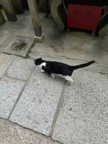 伏見稲荷大社(京都府)