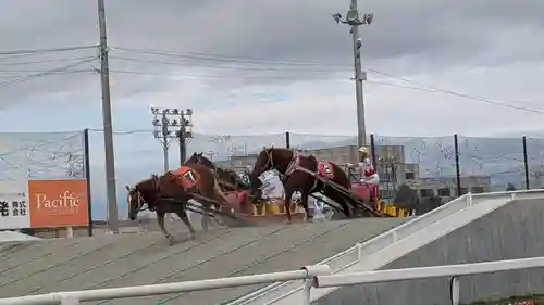 十勝輓馬神社の動物
