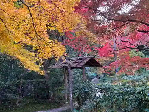 厭離庵(京都府)