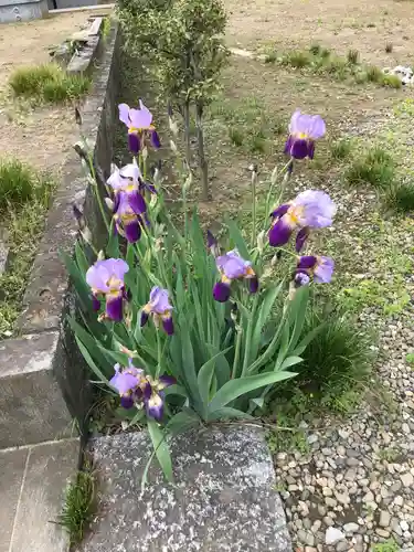 寳藏寺の自然