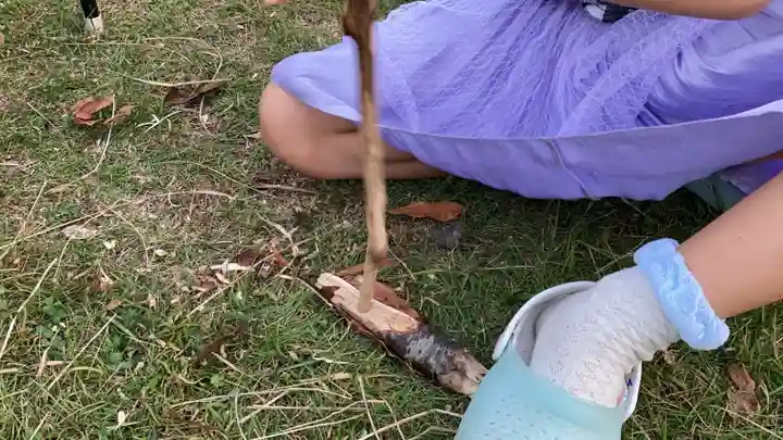 蓮久寺(千葉県)