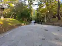 出雲大社(島根県)