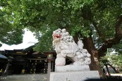 穴八幡宮の狛犬