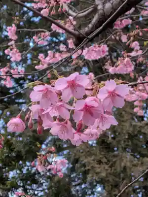 代々木八幡宮(東京都)