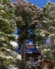 高司神社〜むすびの神の鎮まる社〜の自然