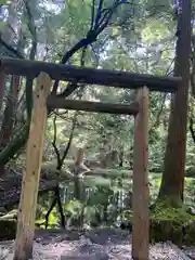 平泉寺白山神社(福井県)