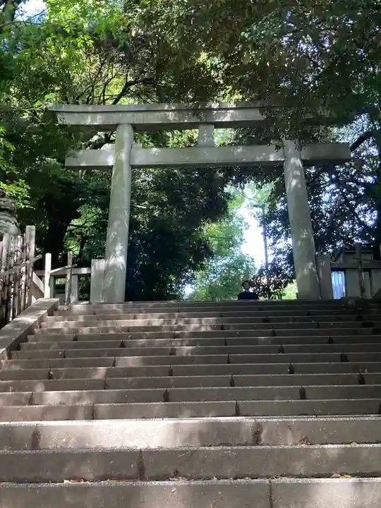 渋谷氷川神社(東京都)