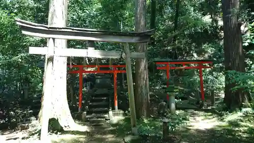 柴神社の鳥居