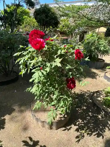 長壁神社の庭園