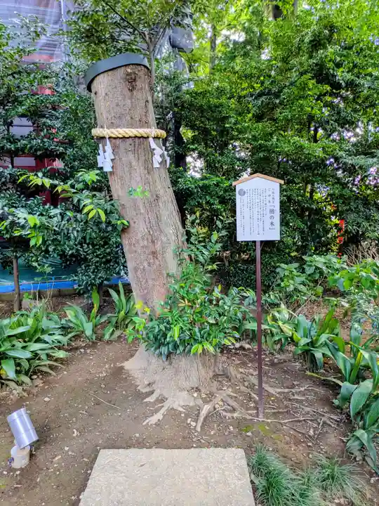 川越八幡宮(埼玉県)