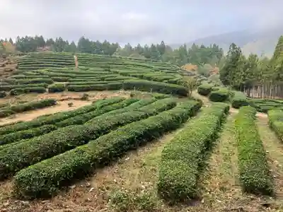 鶏足寺(滋賀県)