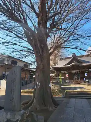 滝野川八幡神社(東京都)