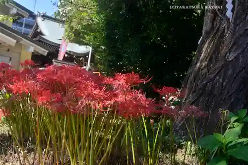 磐井神社(東京都)