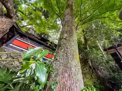 天神社(奈良県)