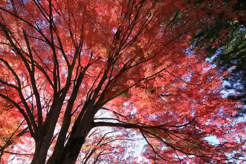 土津神社｜こどもと出世の神さまの庭園