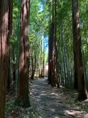 船木神社の周辺