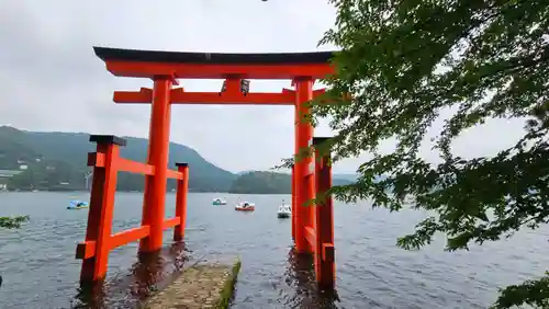 箱根神社の鳥居