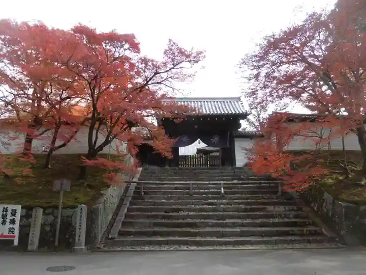 曼殊院門跡の山門・神門