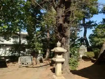 観音寺（世田谷山観音寺）(東京都)